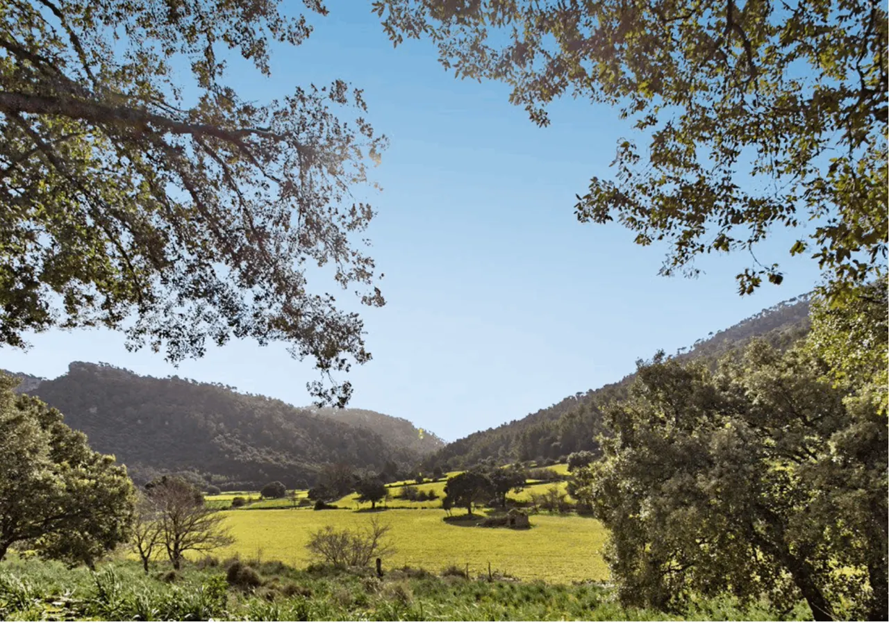 Orient finca