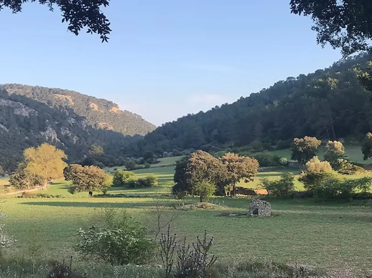 Orient valley finca