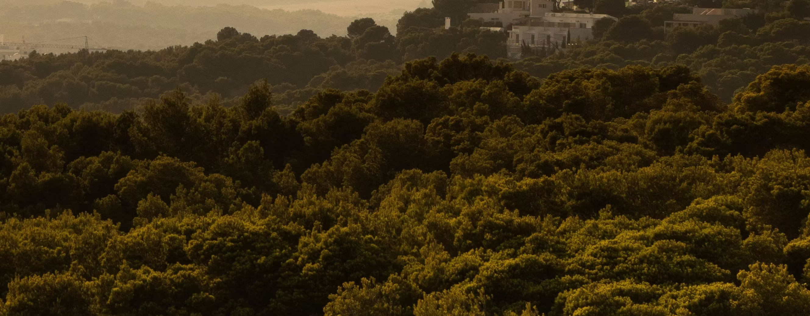 Mallorca development project