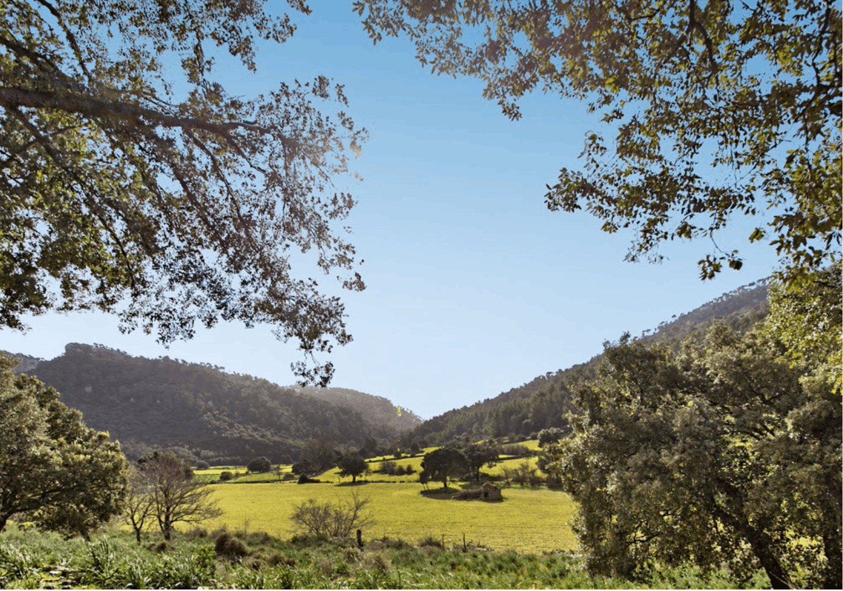 Orient finca